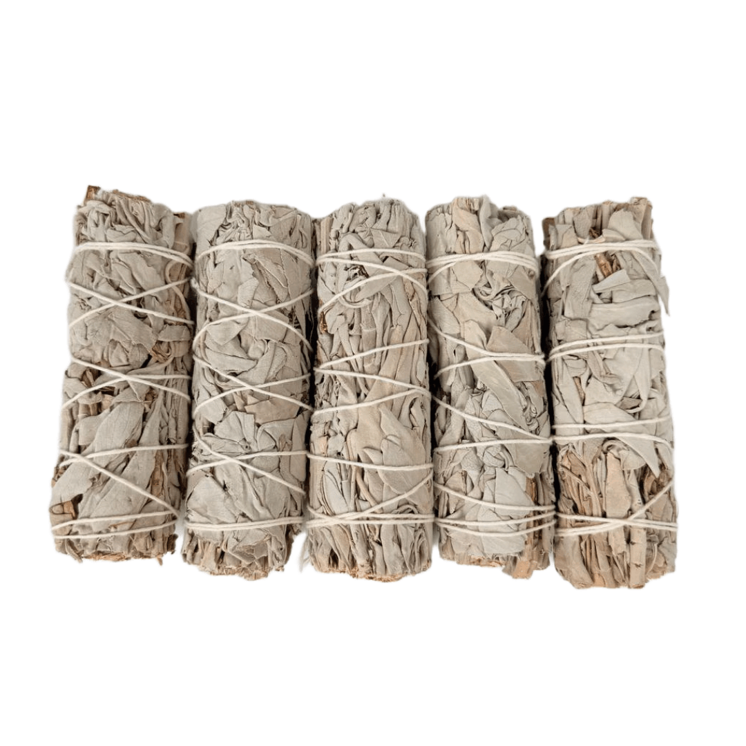 White Sage Smudge Stick Bundle – 5 Pack