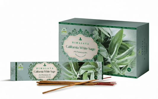 Himalaya Salvia Bianca Californiana Premium Bastoncini di Incenso-15g