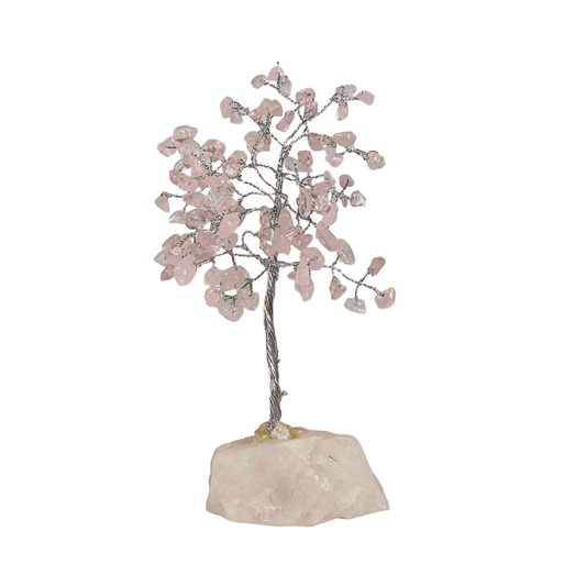 Albero di pietra 17-18 cm
