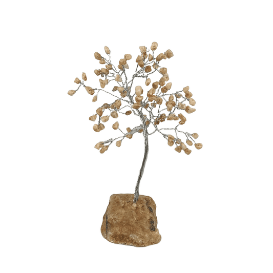 Albero di pietra 17-18 cm