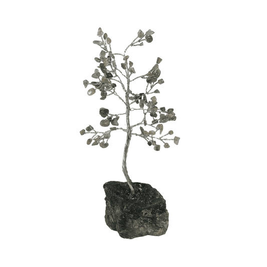 Albero di pietra 17-18 cm