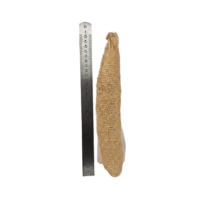 Natural Loofah Sponge 28cm