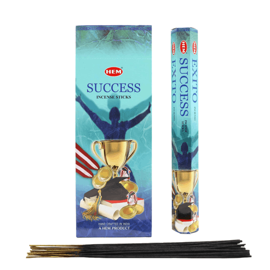 Hem Success Incense Sticks - 20g