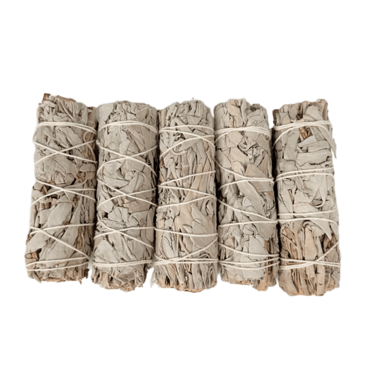White Sage Smudge Stick Bundle – 5 Pack