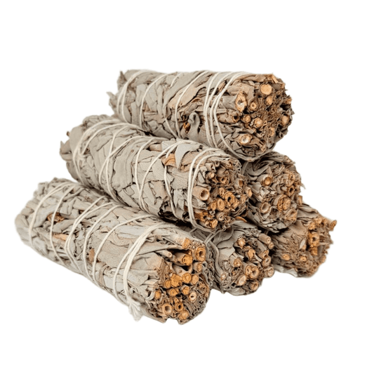 White Sage Smudge Stick Bundle – 6 Pack